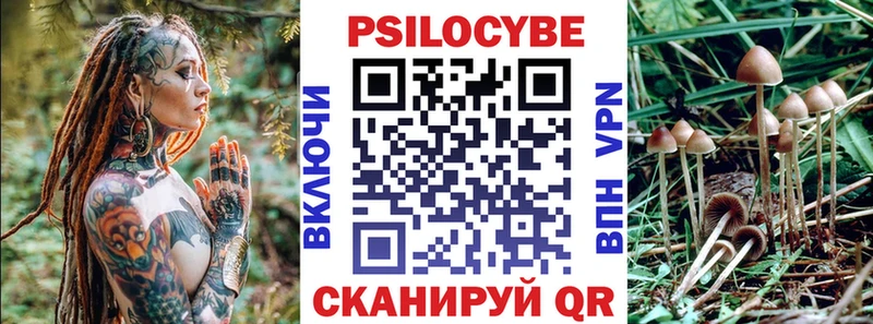 Галлюциногенные грибы мицелий  darknet Telegram  Апшеронск  магазин продажи наркотиков  мега как войти 